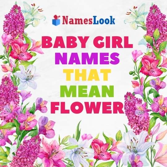 500 Baby Girl Names That Mean 'Flower' | NamesLook