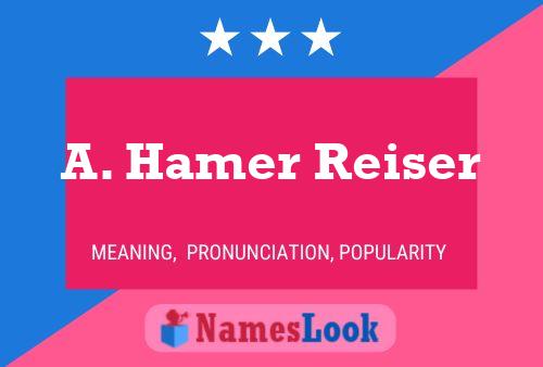 A. Hamer Reiser Naam Poster