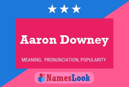 Aaron Downey Naam Poster