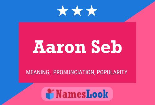 Aaron Seb Naam Poster