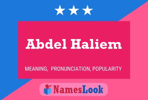 Abdel Haliem Naam Poster