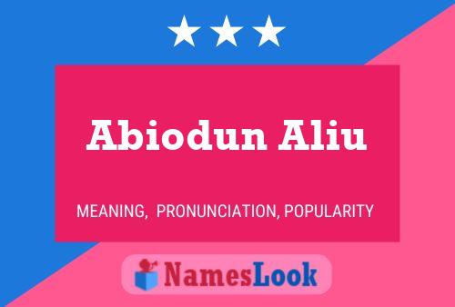 Abiodun Aliu Naam Poster