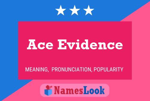 Ace Evidence Naam Poster