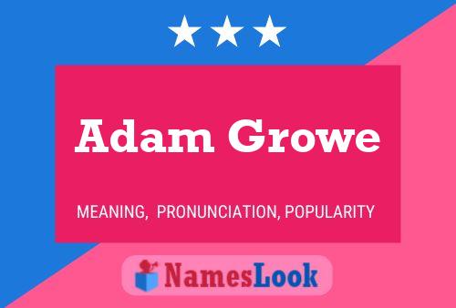 Adam Growe Naam Poster