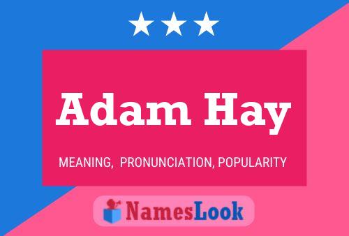 Adam Hay Naam Poster