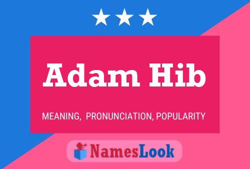 Adam Hib Naam Poster