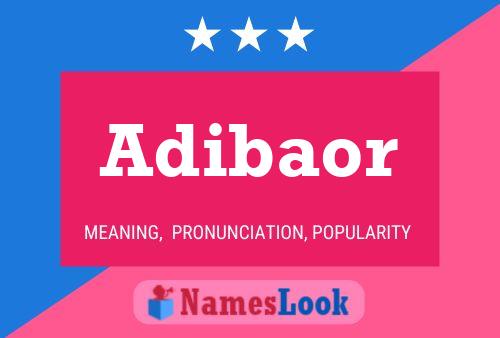 Adibaor Naam Poster