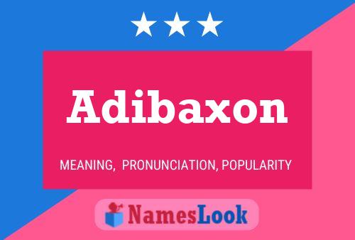 Adibaxon Naam Poster