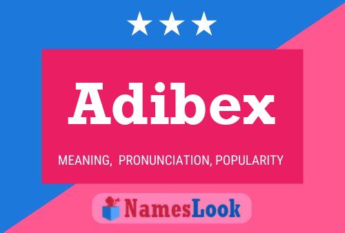 Adibex Naam Poster