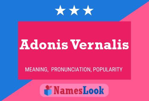 Adonis Vernalis Naam Poster