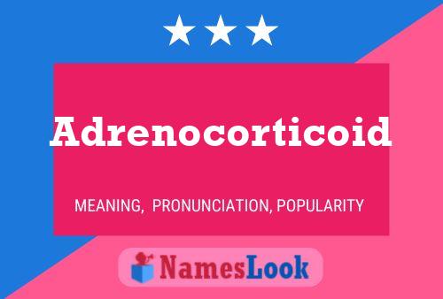 Adrenocorticoid Naam Poster