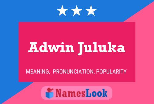 Adwin Juluka Naam Poster