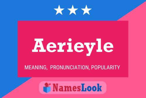 Aerieyle Naam Poster