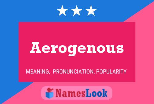 Aerogenous Naam Poster