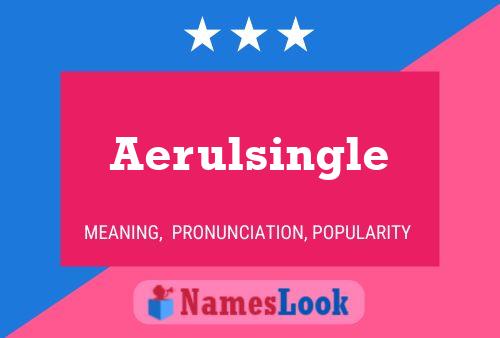 Aerulsingle Naam Poster