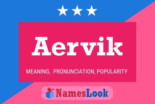 Aervik Naam Poster