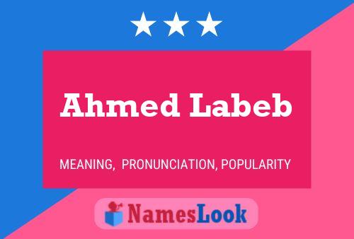 Ahmed Labeb Naam Poster