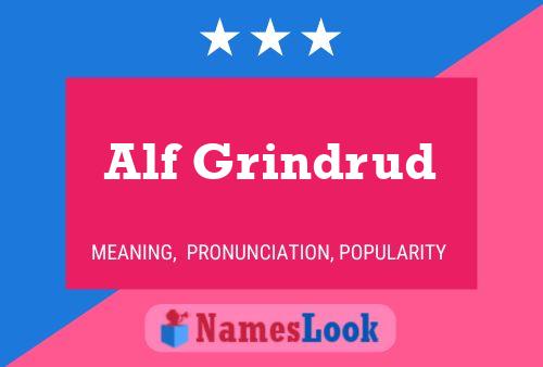 Alf Grindrud Naam Poster