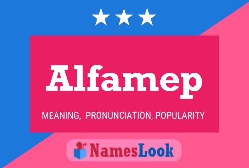 Alfamep Naam Poster