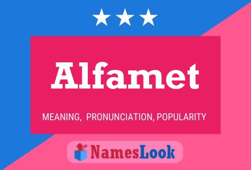 Alfamet Naam Poster