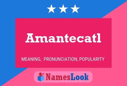 Amantecatl Naam Poster