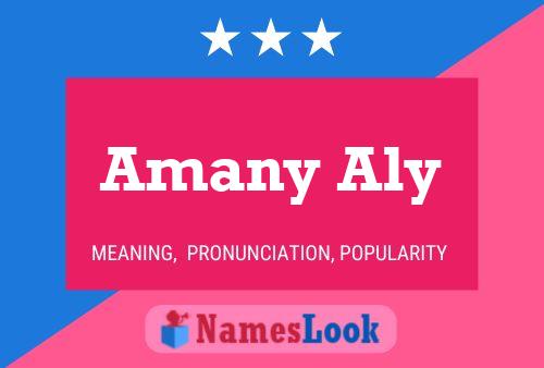 Amany Aly Naam Poster