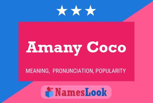 Amany Coco Naam Poster