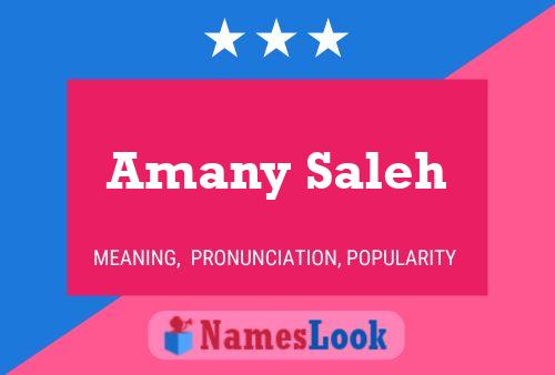 Amany Saleh Naam Poster