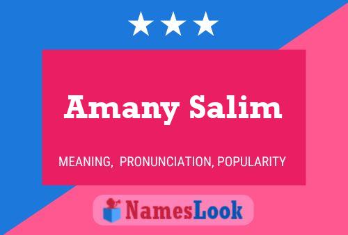 Amany Salim Naam Poster