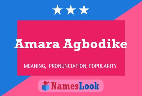 Amara Agbodike Naam Poster