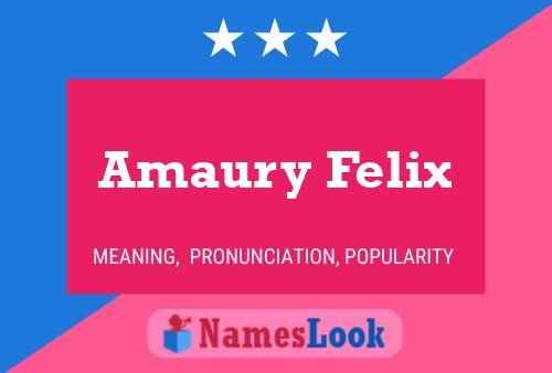 Amaury Felix Naam Poster