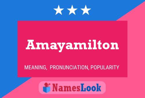 Amayamilton Naam Poster