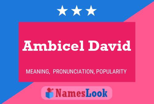 Ambicel David Naam Poster