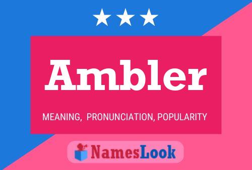 Ambler Naam Poster