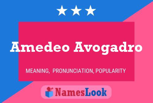 Amedeo Avogadro Naam Poster