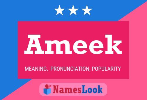 Ameek Naam Poster