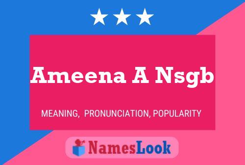 Ameena A Nsgb Naam Poster