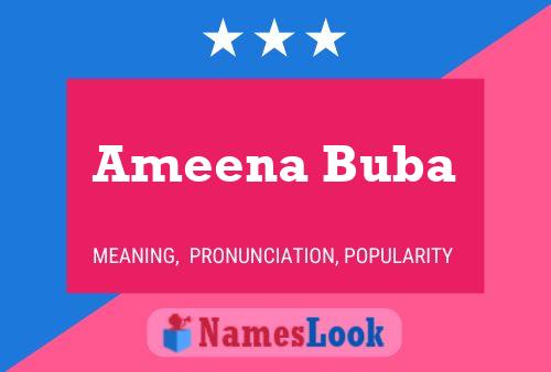 Ameena Buba Naam Poster