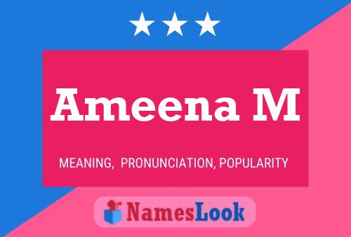 Ameena M Naam Poster