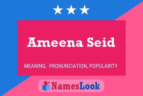 Ameena Seid Naam Poster