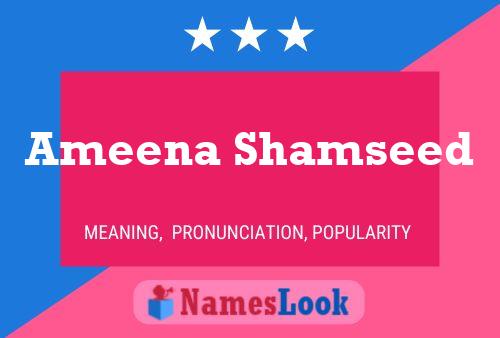 Ameena Shamseed Naam Poster