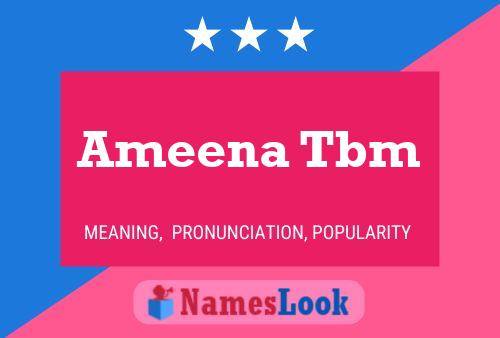 Ameena Tbm Naam Poster