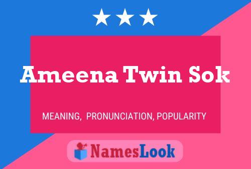 Ameena Twin Sok Naam Poster