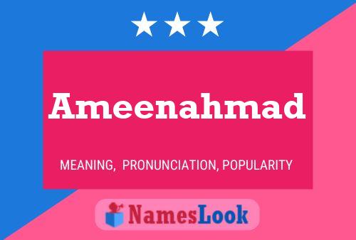 Ameenahmad Naam Poster