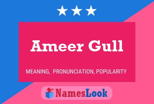 Ameer Gull Naam Poster