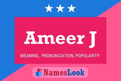 Ameer J Naam Poster