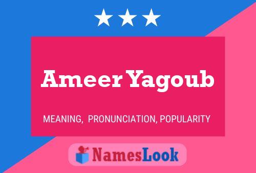 Ameer Yagoub Naam Poster