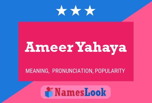 Ameer Yahaya Naam Poster