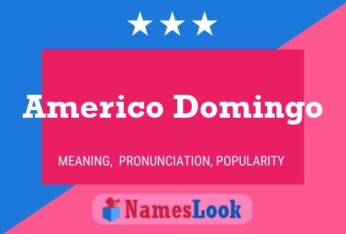 Americo Domingo Naam Poster