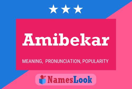 Amibekar Naam Poster